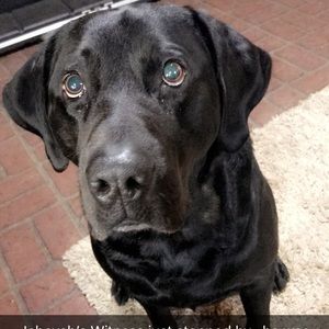 Meet your Posher, Brittany